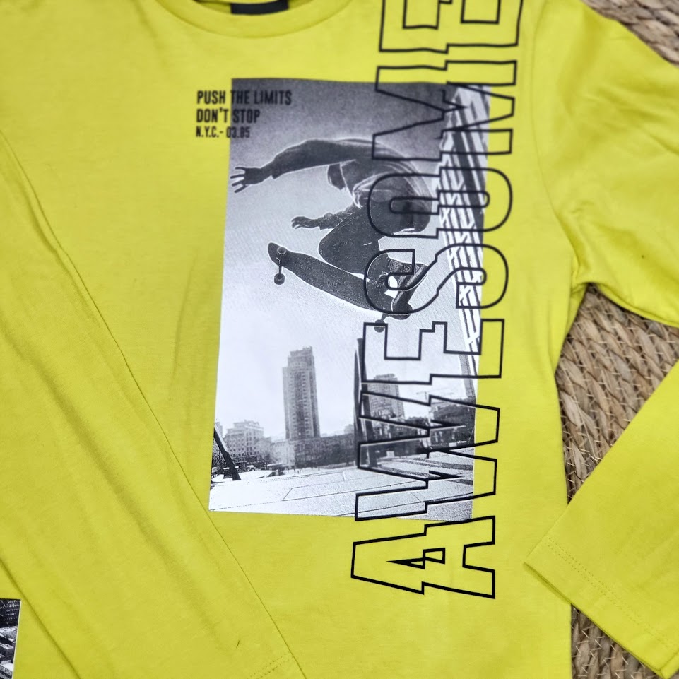articulo253